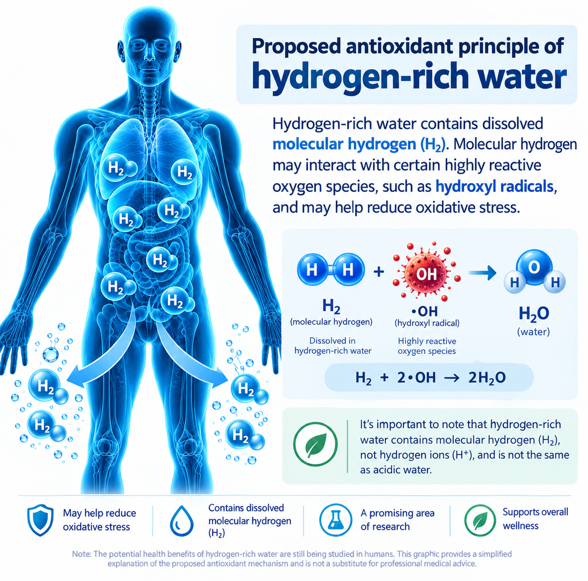 Hydrogen-Infused Smart Water Cup | High Borosilicate Glass